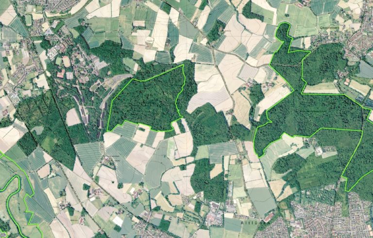 NSG Alstedder Mark, Lage in Waldgürtel auf Nordlippischen Höhen zwischen Cappenberg und Lippeaue