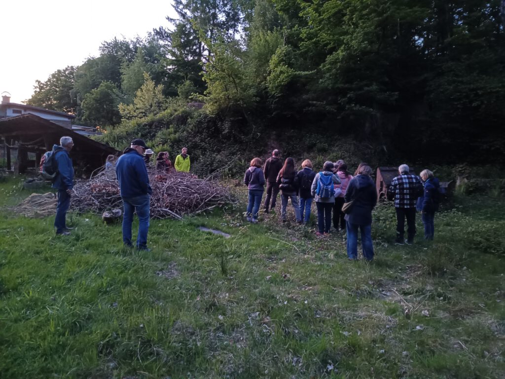 Gespanntes Horchen nach dem Glockenfrosch (Geburtshellferkröte).