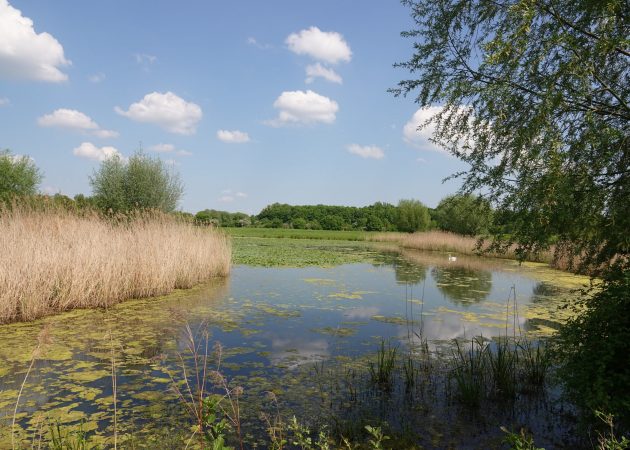 Gewässer im Naturschutzgebiet Lippe-Aue