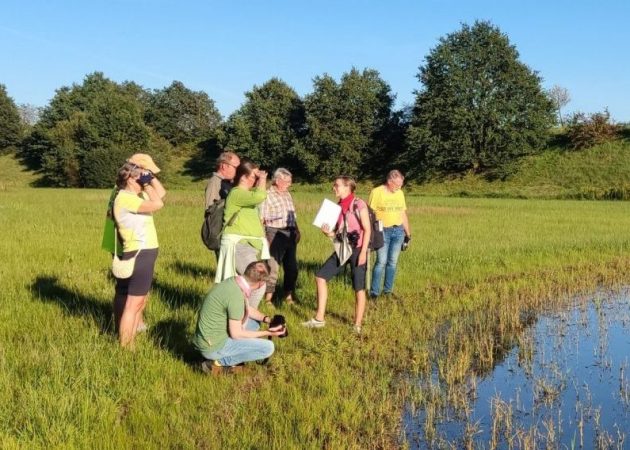 Naturschutz­fachliche Betrachtungen entlang des Westenhellwegs