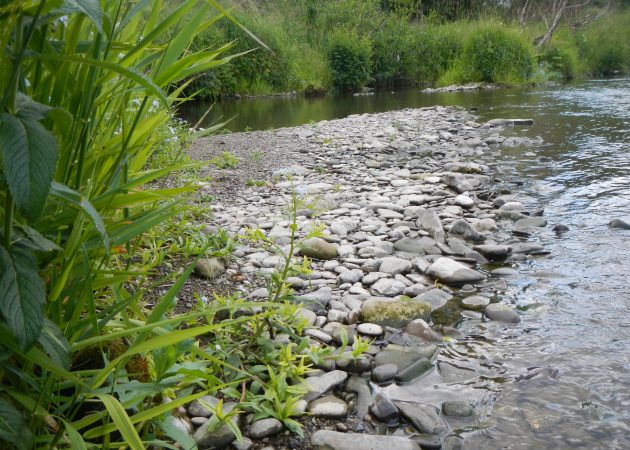 Naturschutzgebiete im Osten Fröndenbergs