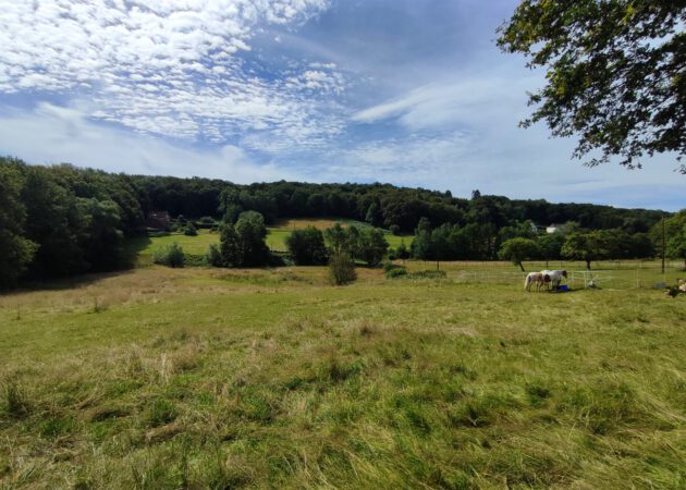 Einblicke in das Ardey-Gebirge