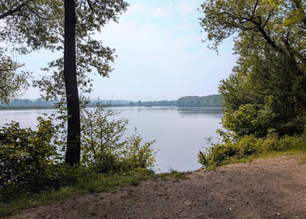 Hotspot für die heimische Wasservogelwelt - der Hengsener Stausee