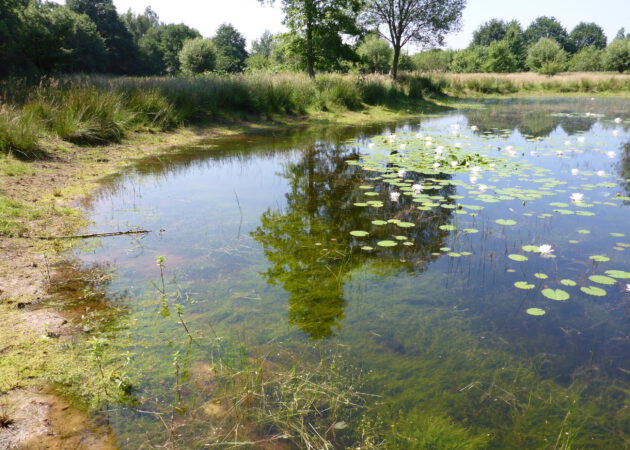 Extensive Kultur- und Bergbaufolgelandschaft