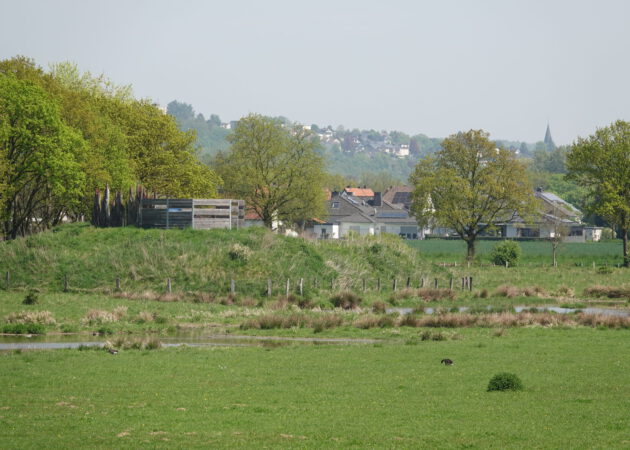 Botanische Highlights an der Ruhr