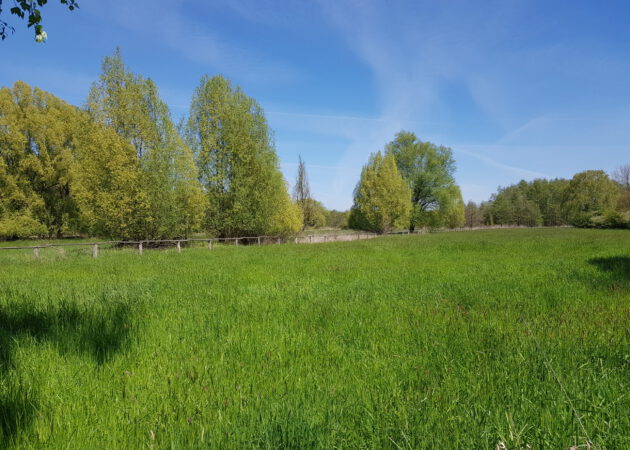 Kleinod im Norden Dortmunds