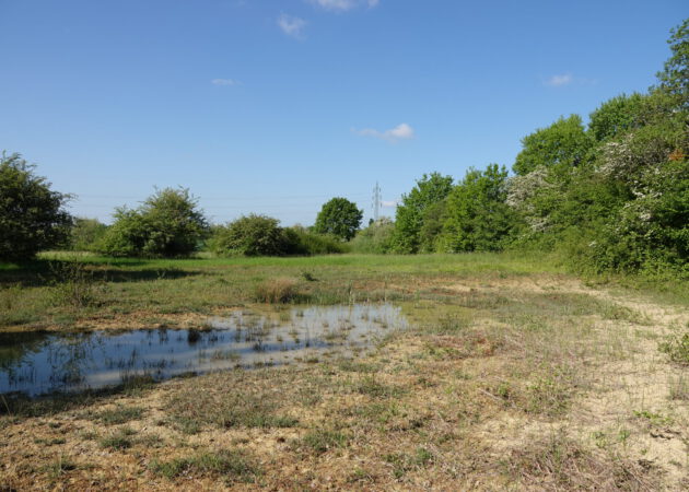 Rückzugsort Wald und Grünland