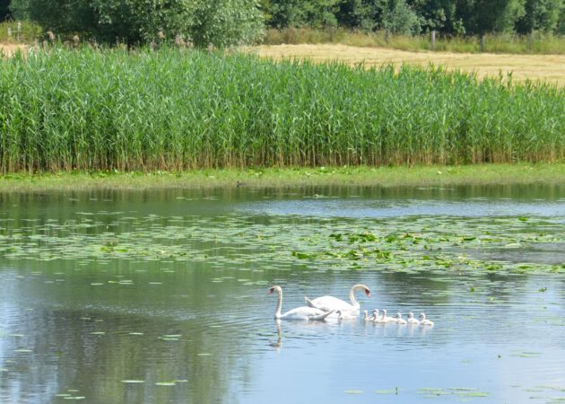 Neue Blickwinkel an der Wasserkante