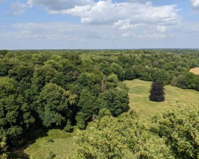 FFH_Cappenberger_Wald