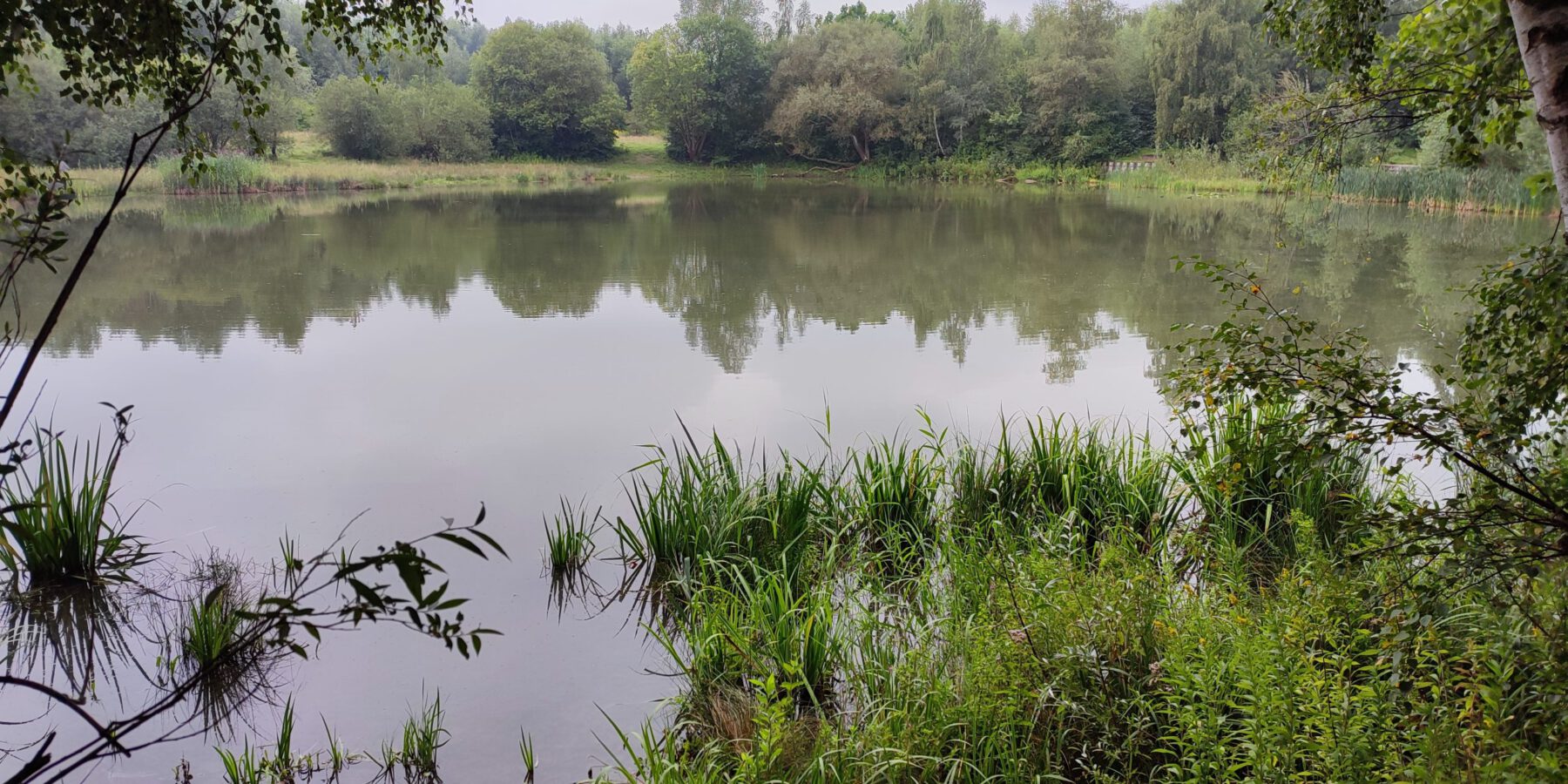 Weiher im NSG Buschei