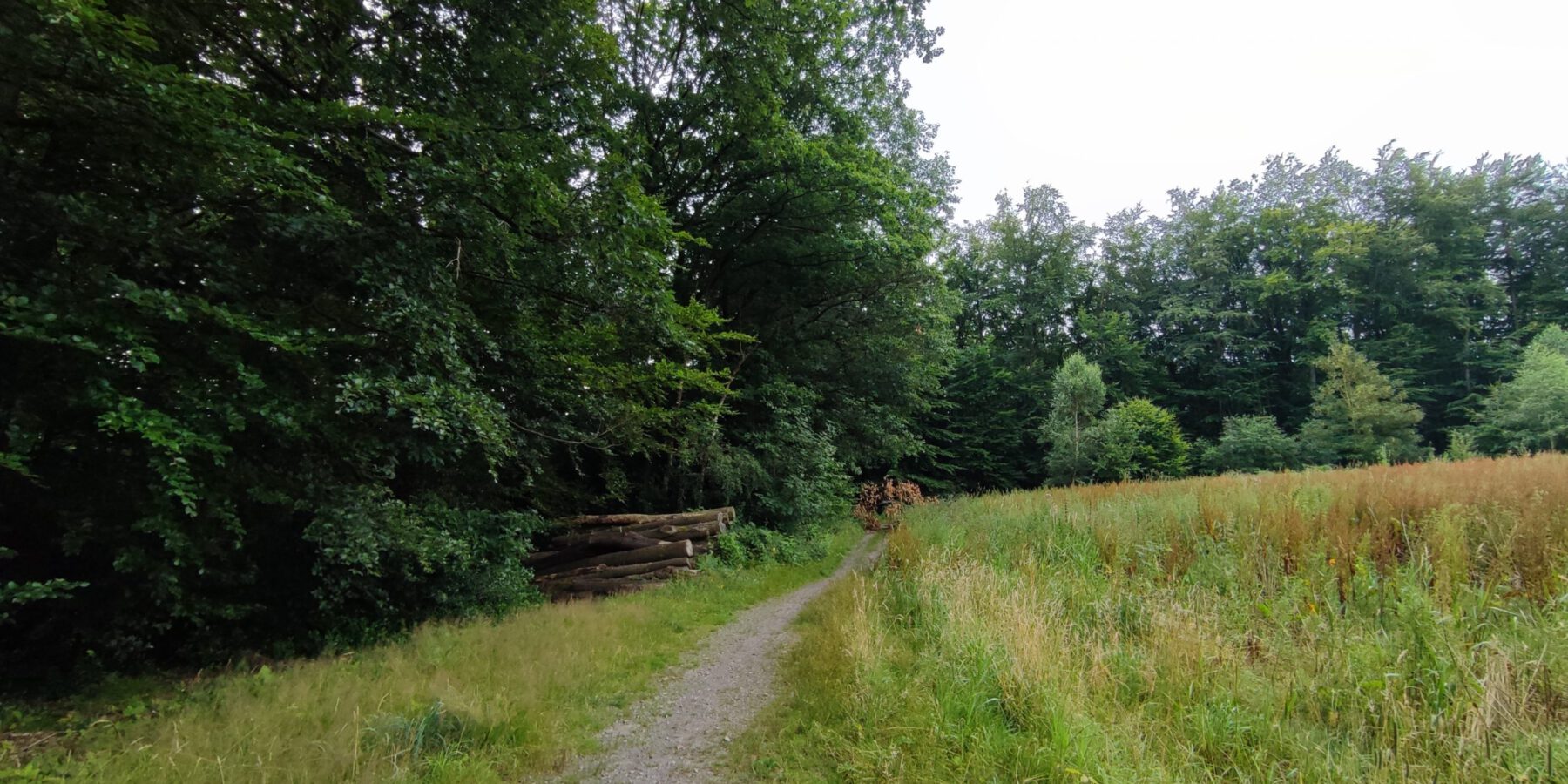 Blick über die Feldflur auf das NSG Großholthauser Mark