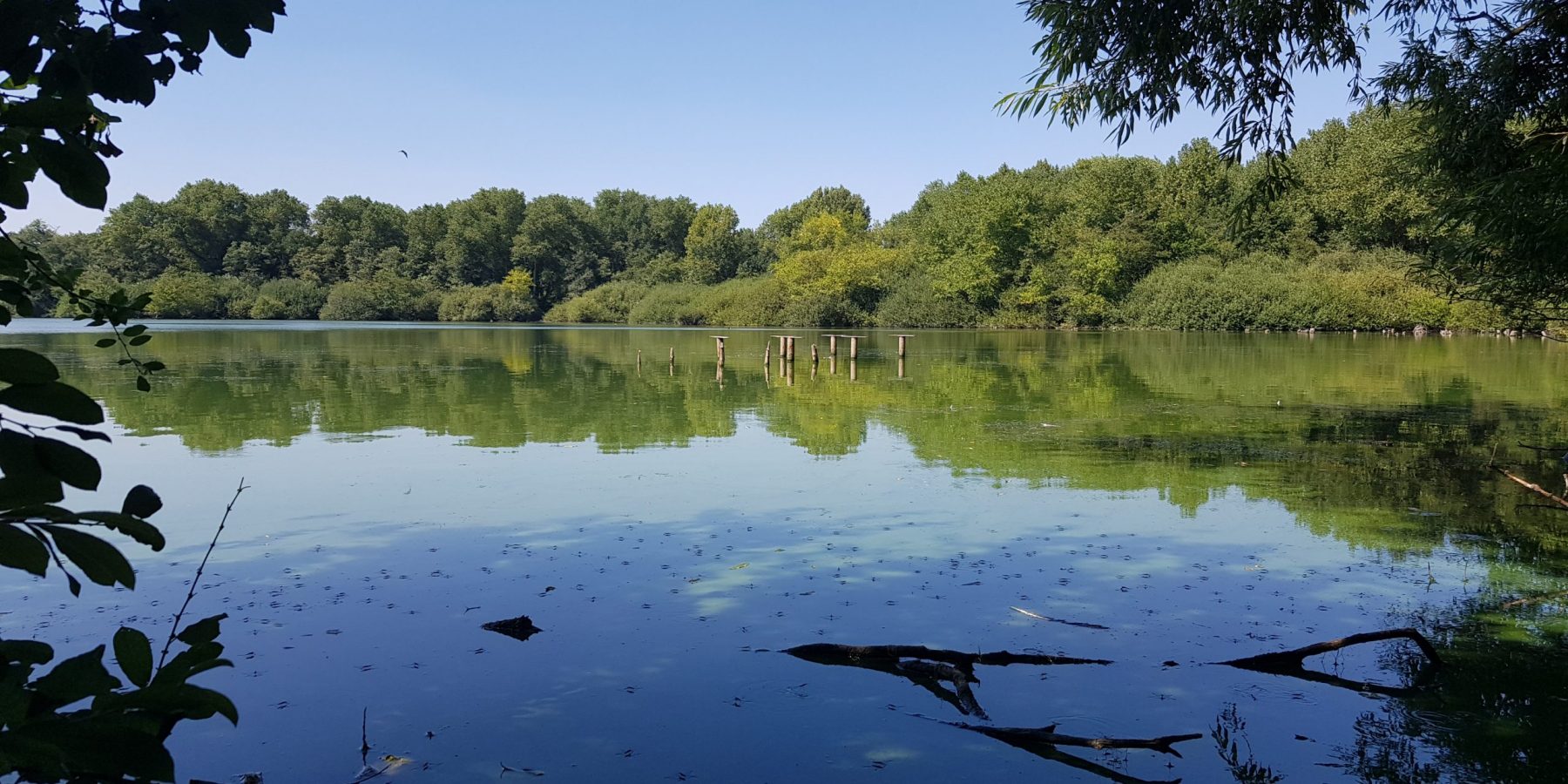 Das Bergsenkungsgewässer Brunosee im NSG Beerenbruch