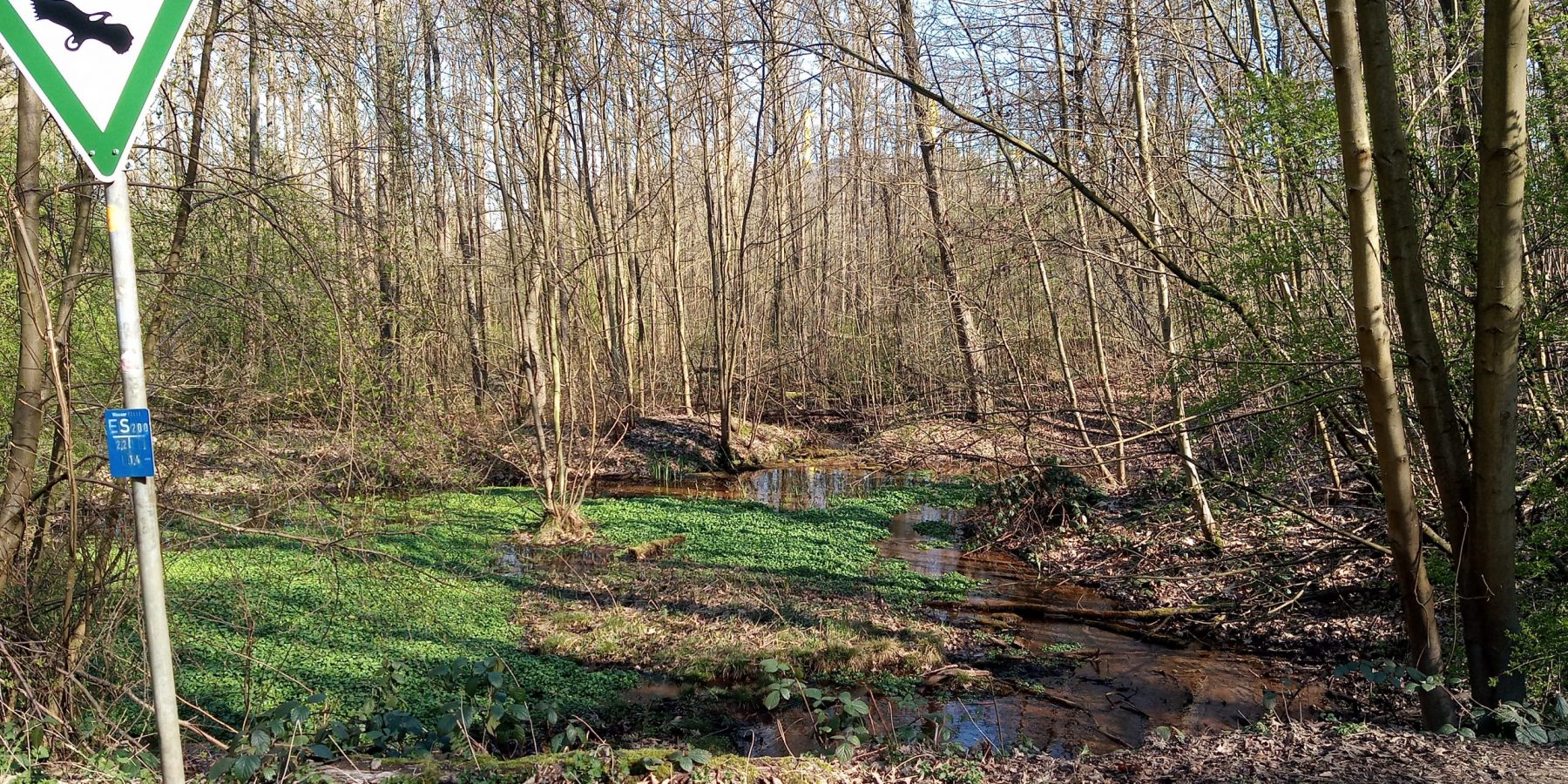 Naturschutzgebiet Bolmke