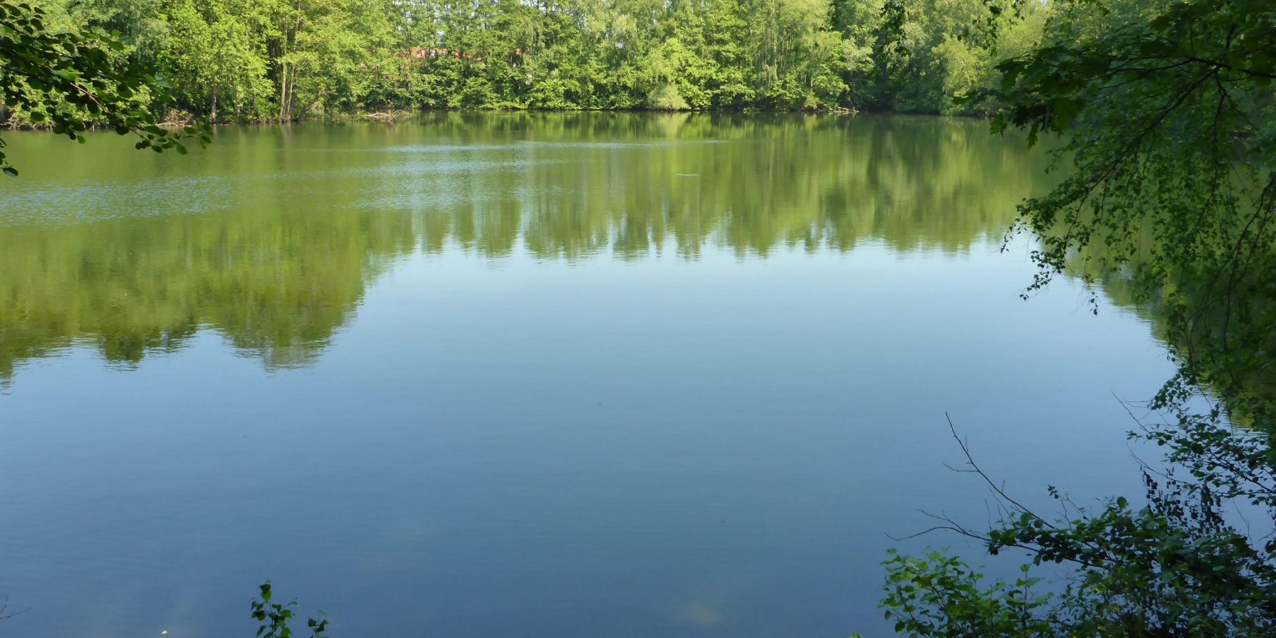 Blick auf Baggersee IV im Naturschutzgebiet