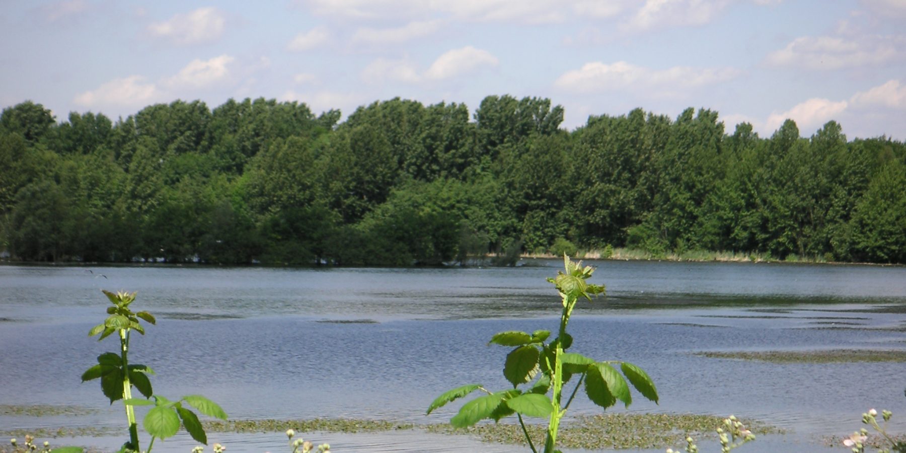 Bergsenkungssee im NSG Hallerey