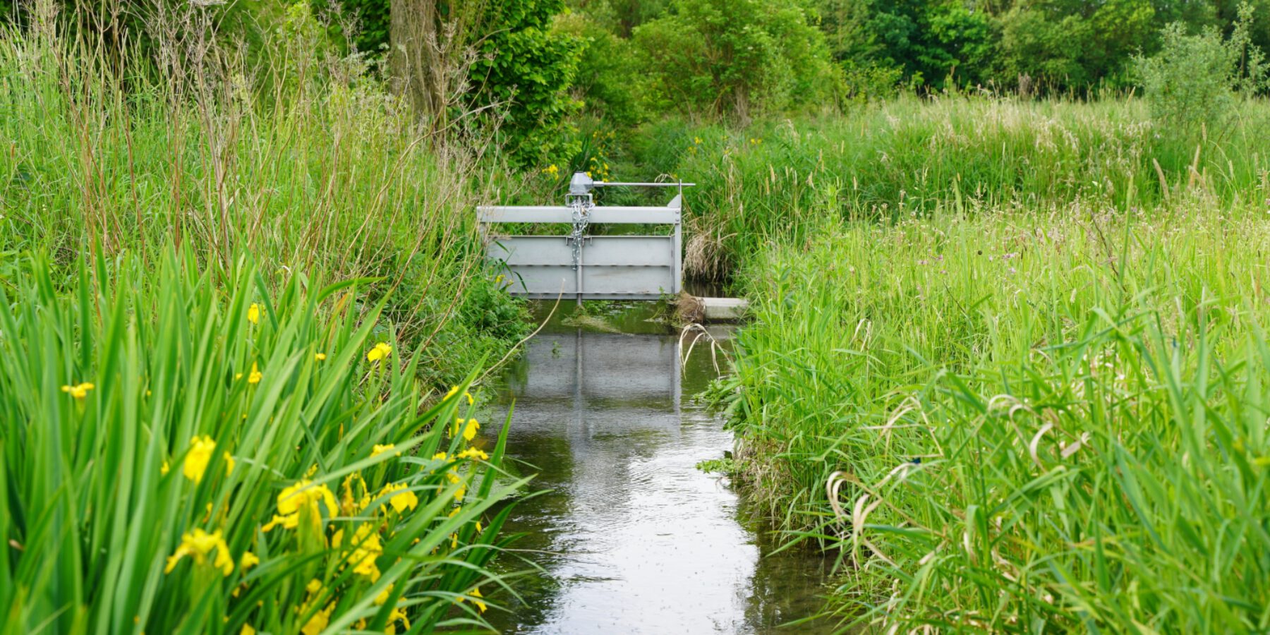 Kleines Stauewehr in der Amecke zur Wasserstandsregulierung.