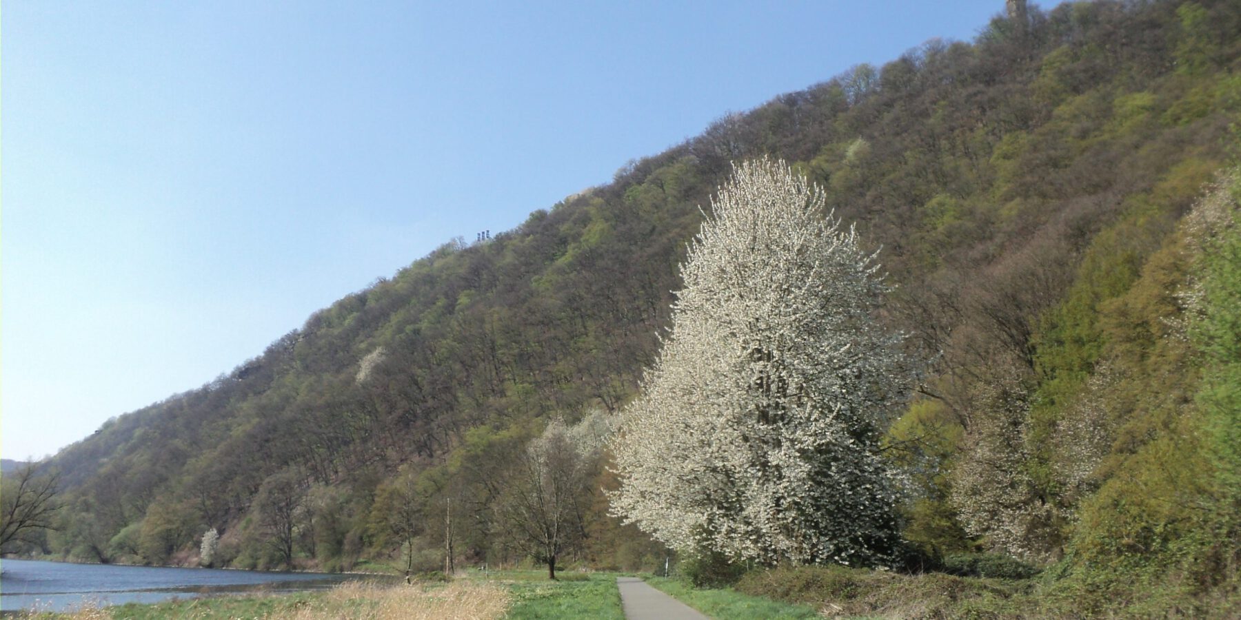 Ruhrsteilhänge am Hengsteysee