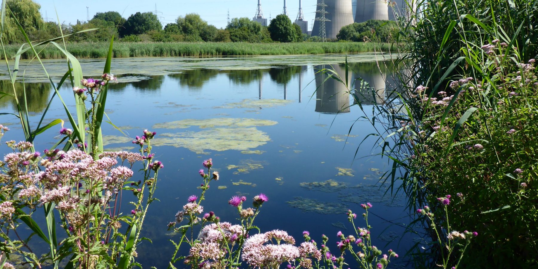 Bergsenkungsgewässer im NSG Tibaum mit Blick auf das Gersteinkraftwerk