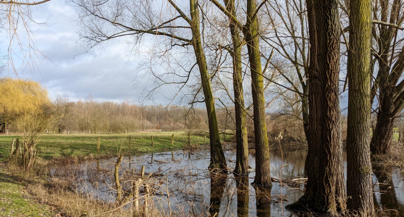 Kleingewässer mit winterlicher Überstauung nahe der Ortschaft Mühlhausen.   